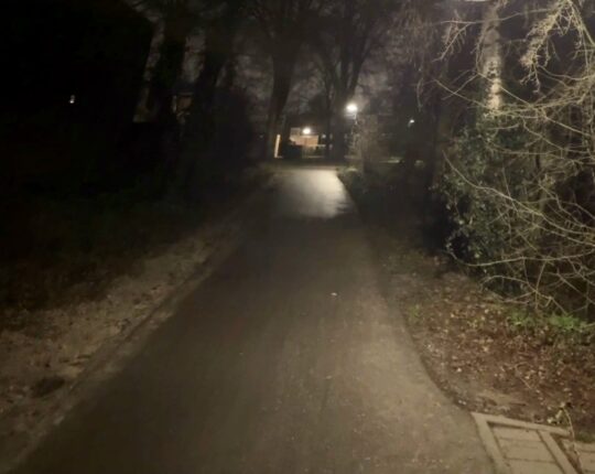 Apeldoorn vroeg: de Horsten