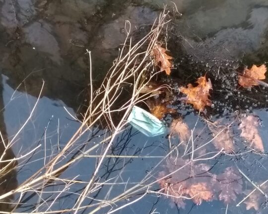 Snapshot: bij elk stapje een kapje