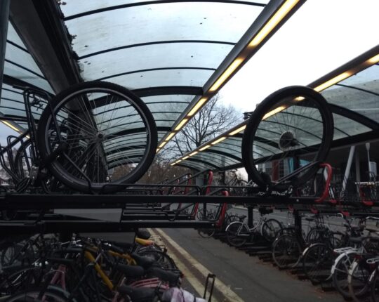 Snapshot: eenzaam