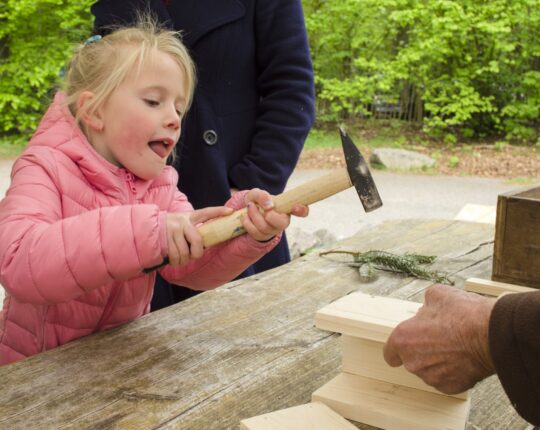 Wedstrijd Staatsbosbeheer: wie maakt het mooiste nestkastje?