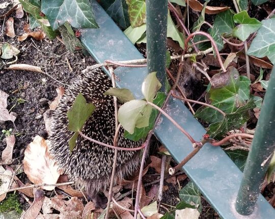 Snapshot: lente in de lucht