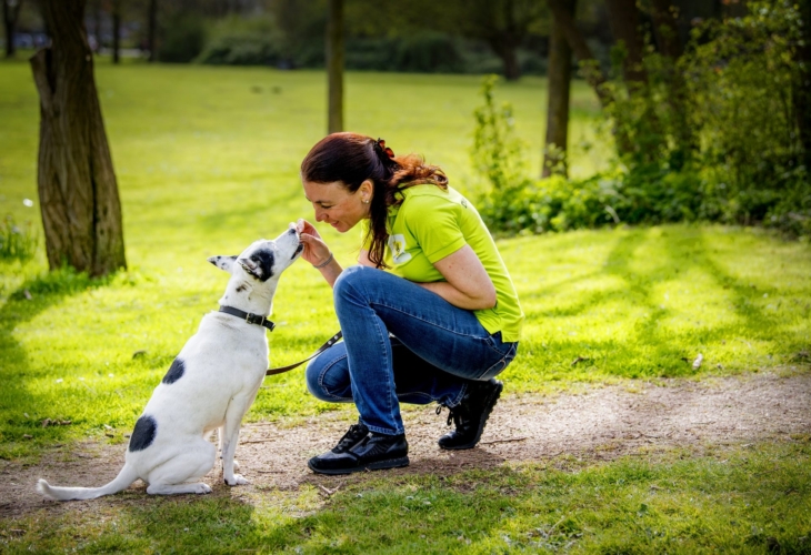 Dierenbescherming