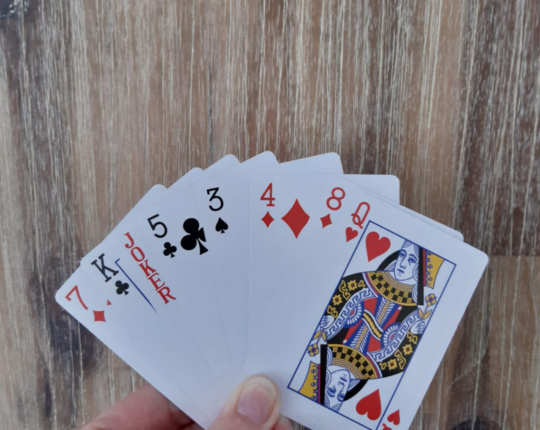 Siza zoekt maatje die van gezelschapsspelletjes houdt