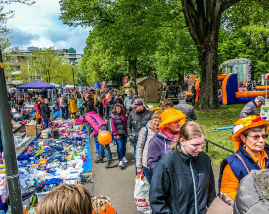 Koningsdag: ThuisKunstwedstrijd voor alle Apeldoorners