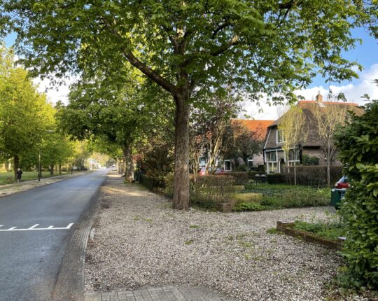 Apeldoorn Vroeg: Sprengenbos
