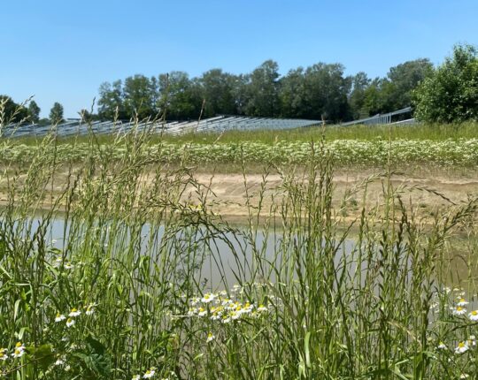 Crowdfunding Zonnepark Klarenbeek groot succes