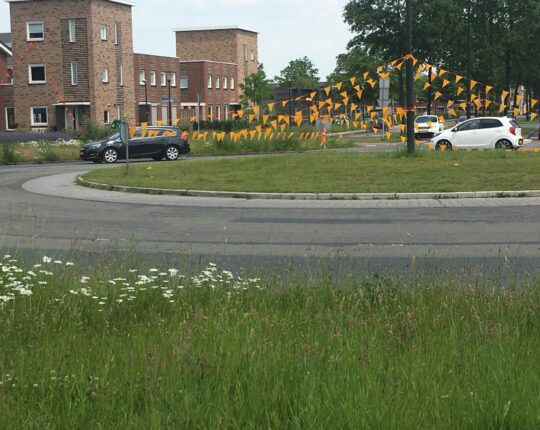 Snapshot: oranje Apeldoorn