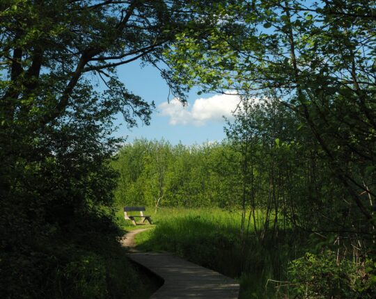 IVN Apeldoorn en deA introduceren nieuwe fietsroute