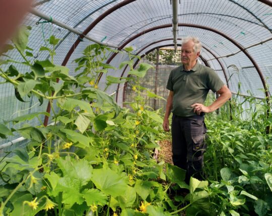 In Beeld: Moestuin Havenpark, een groene oase in het stadscentrum