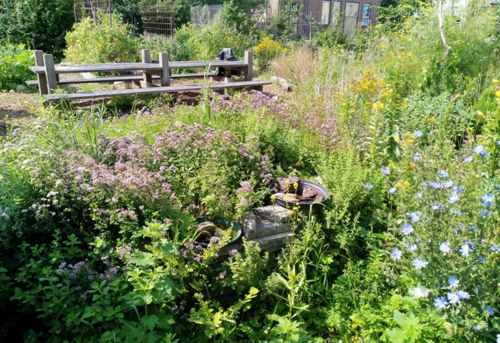 pauzebankje in de bloementuin