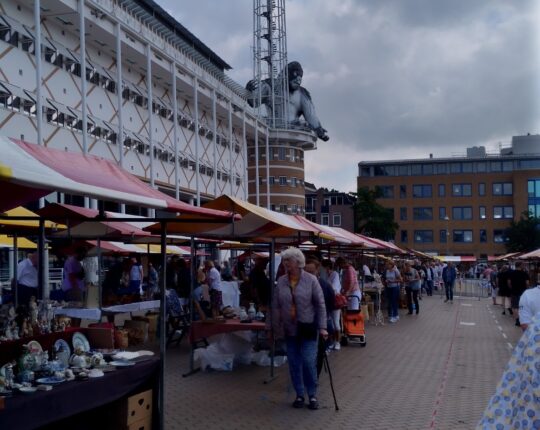 Bezoekers kijken ogen uit op tweede Antiek- en Curiosamarkt op Marktplein