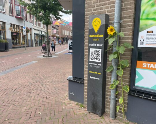Snapshot: bloeiende binnenstad