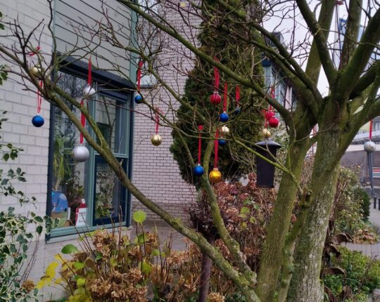 Opmerkelijk Apeldoorn: Kerstboom