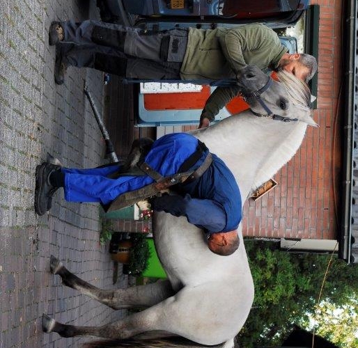 Eigen foto