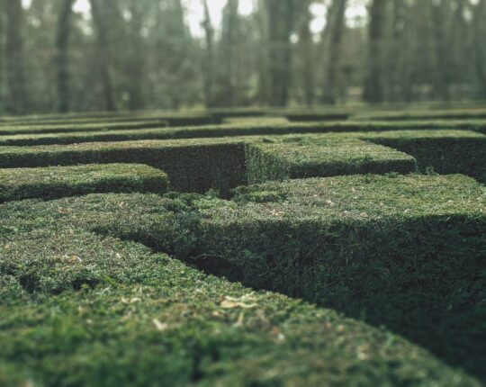 Nieuw doolhof bij de Imbosweg in Loenen