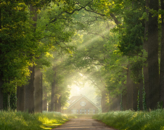 Schijnwerper op Kunst: de foto’s van landschapsfotograaf Jeroen Schouten