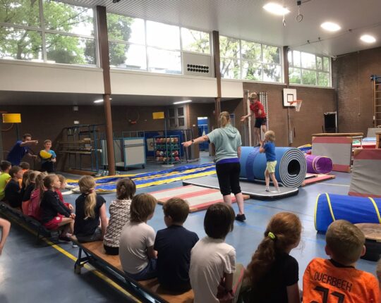 Sportvereniging DIO-Ugchelen zoekt een Coördinator afdeling gymnastiek