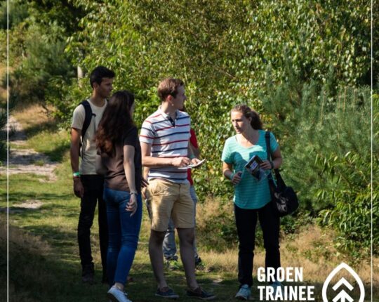 Groene Trainees gezocht: Escape into the forest