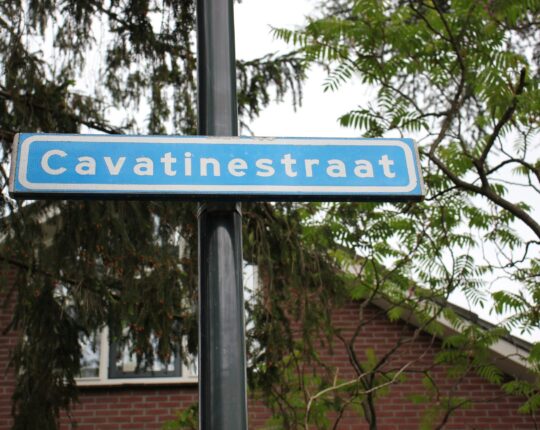 Kijk op de Wijk: Cavatinestraat