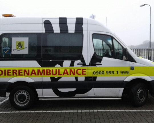 Dierenambulance zoekt een Chauffeur met een groot hart voor dieren