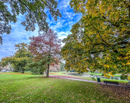 Apeldoorn staat in de top 3 gezondste steden van Nederland