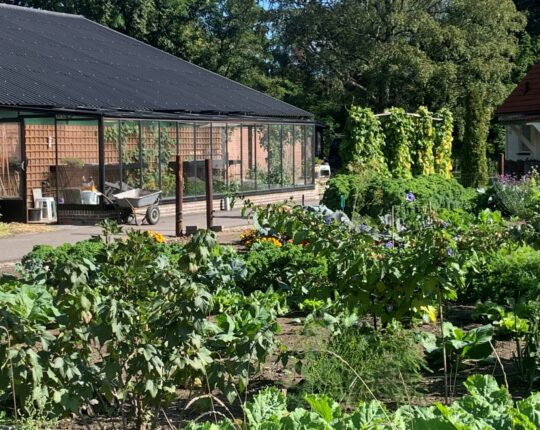 Vrijwilligers gezocht voor landgoed omgeving Apeldoorn