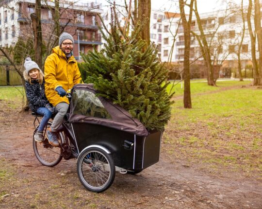 Kies dit jaar voor een Duurzame Kerstboom