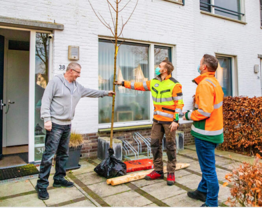 Gemeente Apeldoorn verloot 1.000 bomen onder inwoners van Apeldoorn