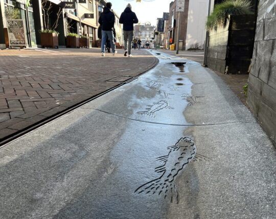 Duurzaamheid in hartje Apeldoorn: dit is de Klimaatstraat