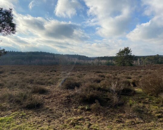 De Veluwe sterkste streekmerk van Nederland, mede dankzij Apeldoorn