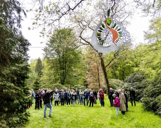 Een feestelijke opening van de boomkroonjuwelen en audiotour ‘Bijzonder Berg & Bos