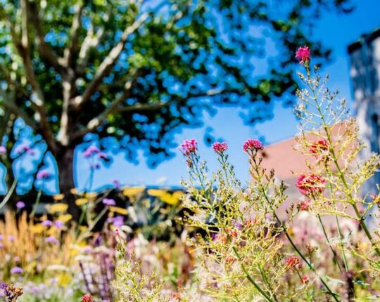 Gezonde inspiratiebijeenkomst in Apeldoorn: samen werken aan een betere gezondheid