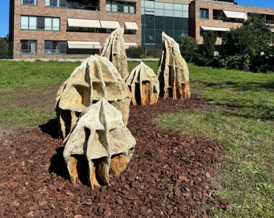 Nieuw kunstwerk buurttuin De Heeze