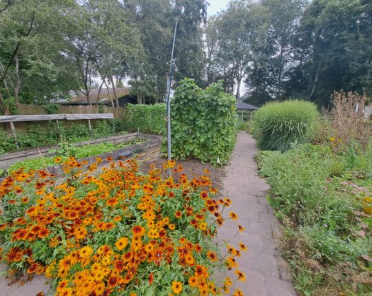 Zorgboerderij de Wenum Hoeve is op zoek naar een vrijwillige tuinman/tuinvrouw,