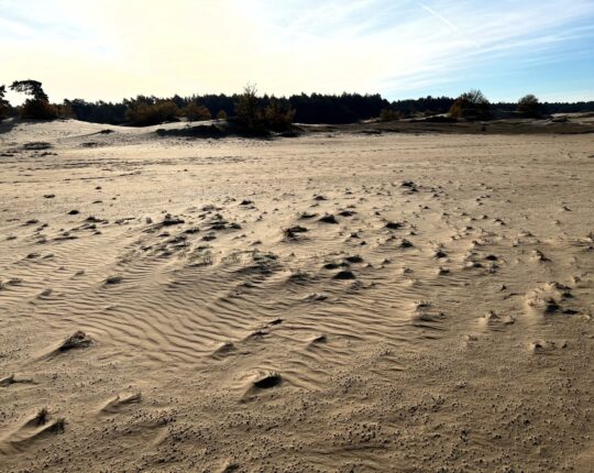 IVN Apeldoorn biedt wandeling door oer-landschap