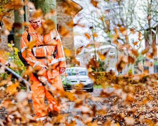 Bladkorven in Apeldoorn: help de gemeente met bladeren ruimen