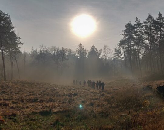 Ontdek de Veluwse pracht tijdens Groene Voornemens wandeling