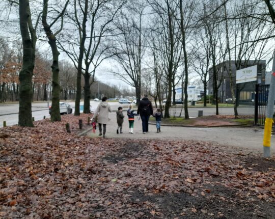 Stimenz duwt gezelligheid door donkere wintermaanden heen