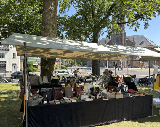 Kunst en cultuur in de spotlights tijdens 53ste Culturele Pleinmarkt Apeldoorn