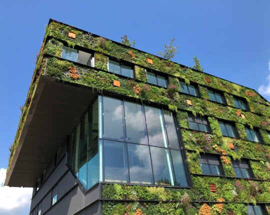 VPRO Tegenlicht Meet Up 055 – Biobased bouwen, het betaalbare alternatief?