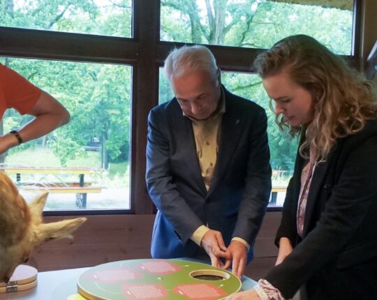 Theehuis in Stadspark Berg en Bos: Een nieuwe bestemming voor verhalen en natuurbeleving