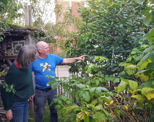 Havenpark Moestuin: een groene oase midden in de stad