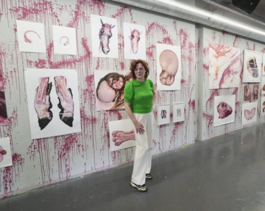 Expositie Wilma Stegeman in ACEC: Kunst die schuurt en raakt