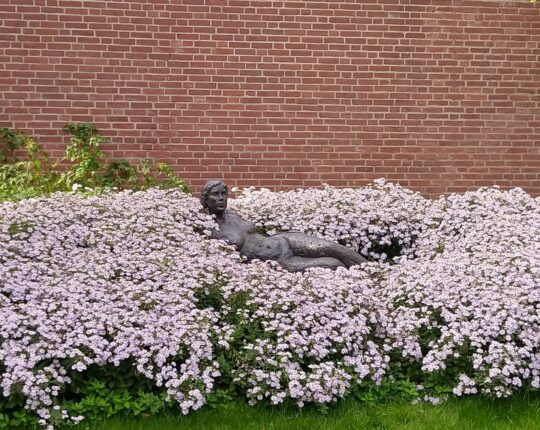 IVN-wandeling over stedelijk groen in Apeldoorn