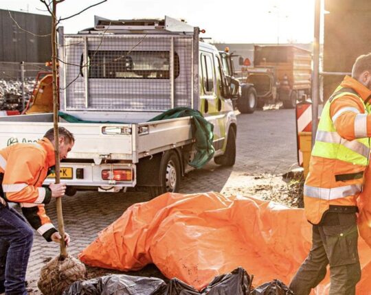 Gemeente Apeldoorn start met actie ‘Boompje Erbij’: gratis bomen voor bewoners