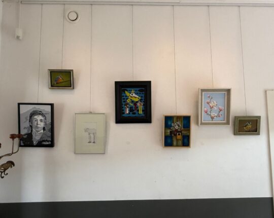Eerste kunstveiling in Café Nova met werk van Apeldoornse kunstenaars