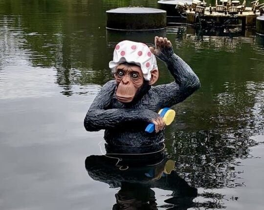 Zet die aap weer onder z’n douche