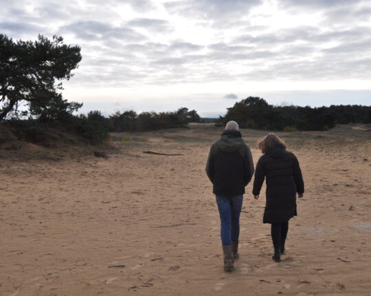 Wandel door de herfstpracht van de Veluwe tijdens de Kootwijker Veen- en Zandtocht