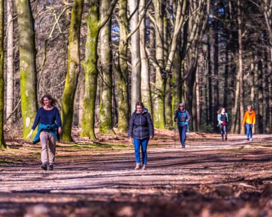 8e Midden-Veluwe Wandeltocht: door bossen, heidevelden en ijstijdlandschap