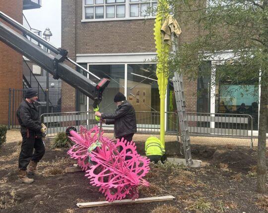 Opvallende boomkroonjuwelen geplaatst in Apeldoornse binnenstad